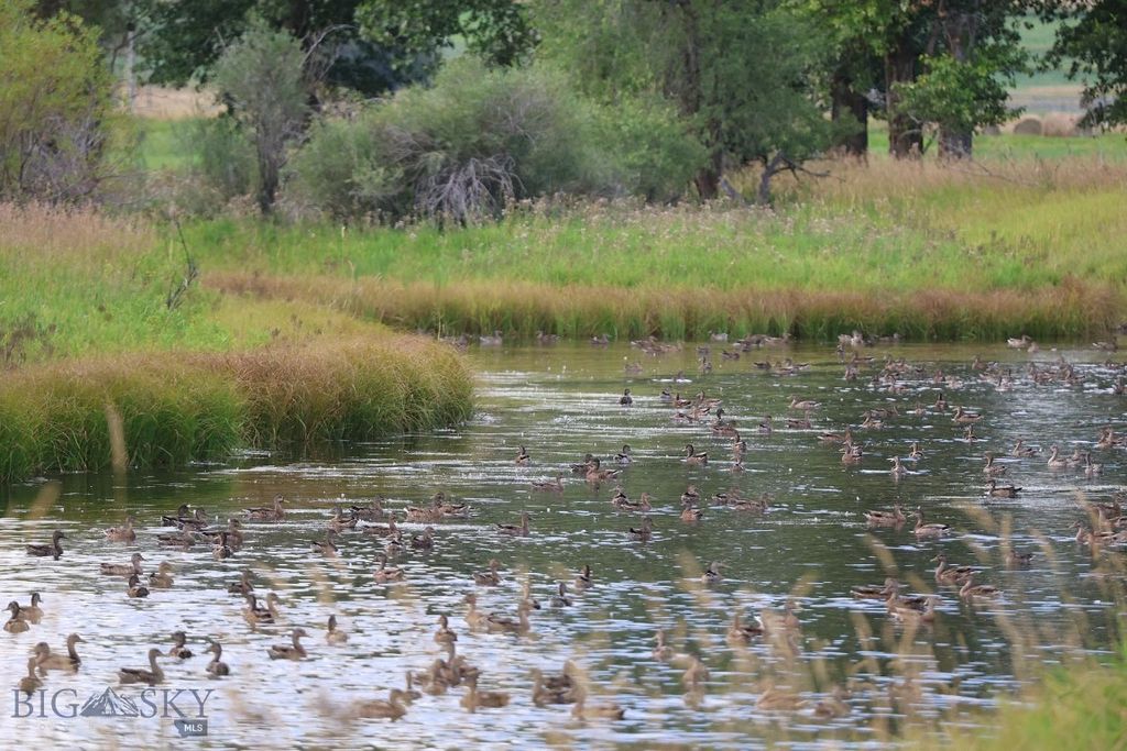 5211 Old Yellowstone Trail, Three Forks, MT 59752 photo 17
