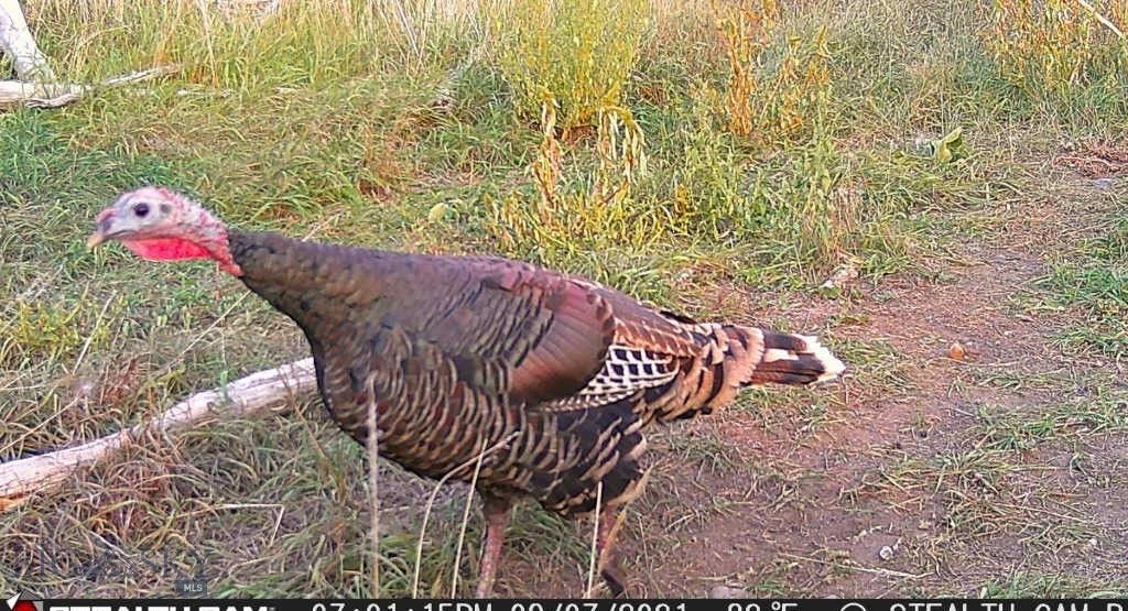 5211 Old Yellowstone Trail, Three Forks, MT 59752 photo 33