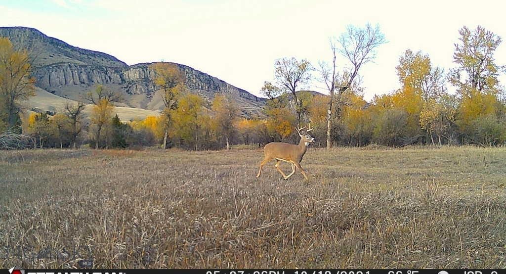 5211 Old Yellowstone Trail, Three Forks, MT 59752 photo 34