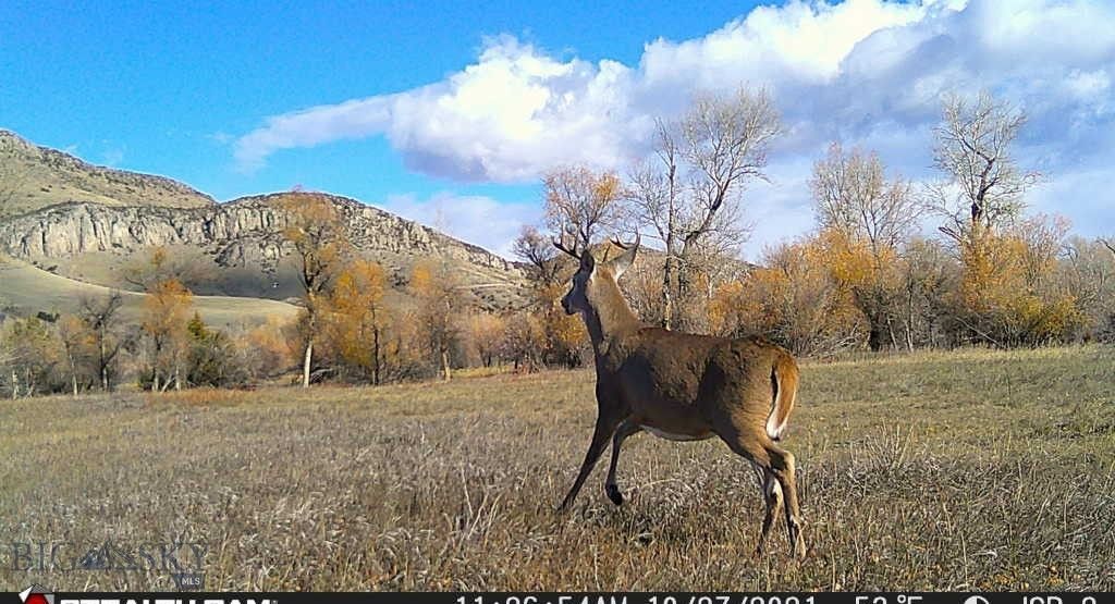 5211 Old Yellowstone Trail, Three Forks, MT 59752 photo 35