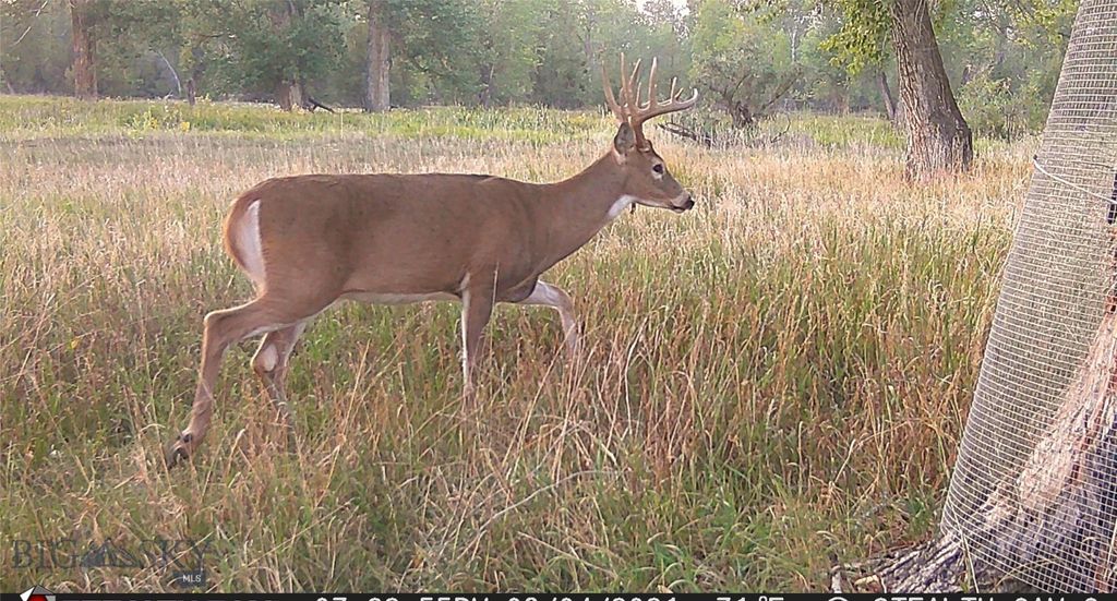 5211 Old Yellowstone Trail, Three Forks, MT 59752 photo 36