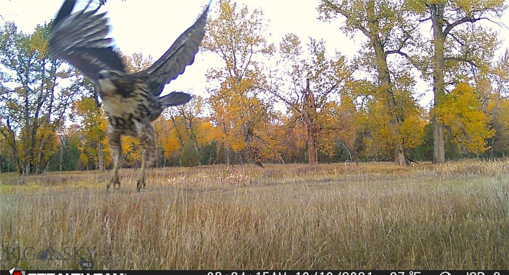 5211 Old Yellowstone Trail, Three Forks, MT 59752 photo 37