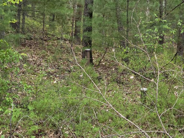 N5488 Black Road, Mauston, WI 53948