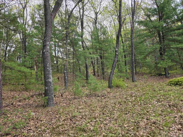 N5488 Black Road, Mauston, WI 53948