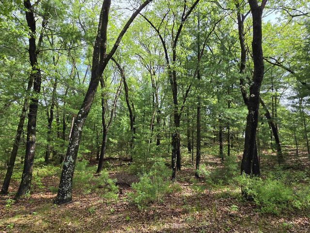 N5488 Black Road, Mauston, WI 53948