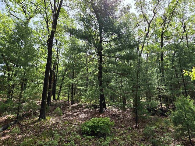 N5488 Black Road, Mauston, WI 53948