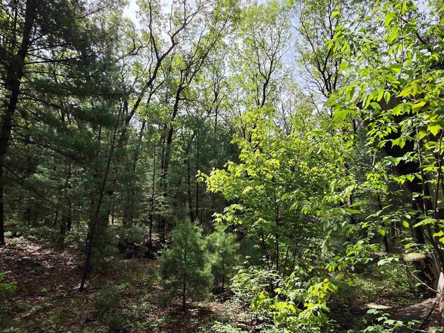 N5488 Black Road, Mauston, WI 53948