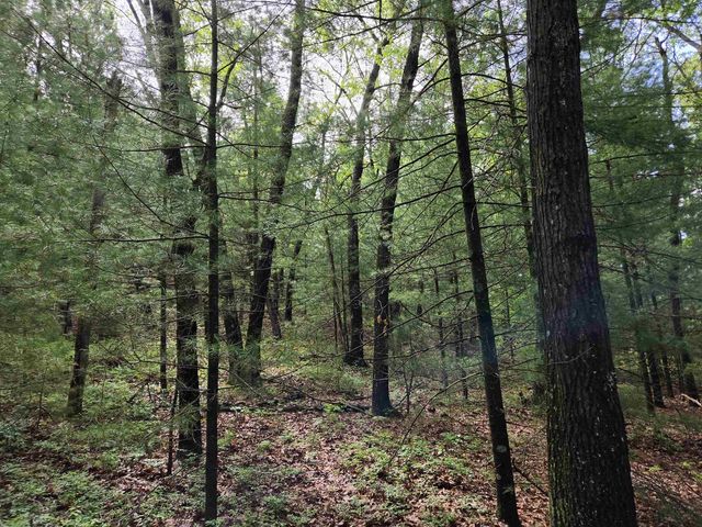 N5488 Black Road, Mauston, WI 53948