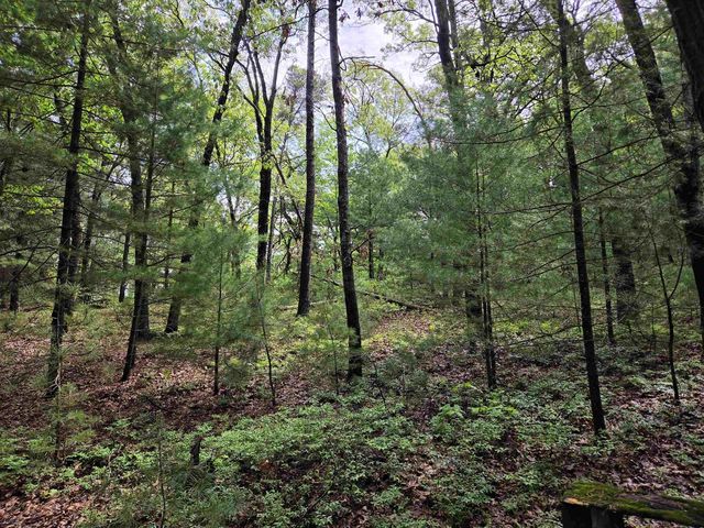 N5488 Black Road, Mauston, WI 53948