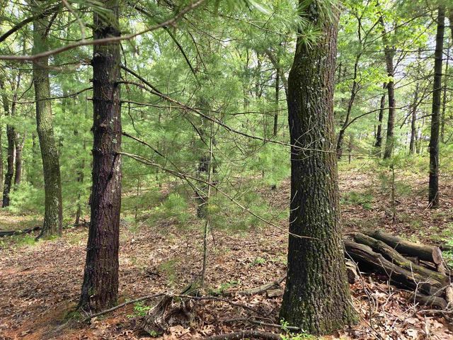 N5488 Black Road, Mauston, WI 53948
