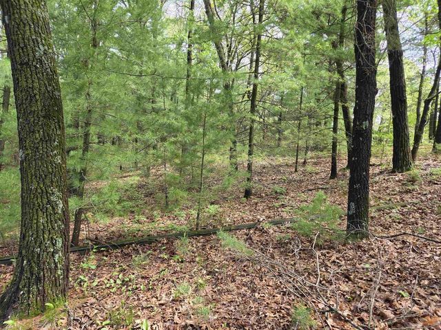 N5488 Black Road, Mauston, WI 53948