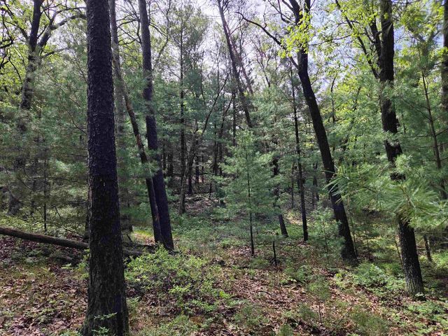 N5488 Black Road, Mauston, WI 53948