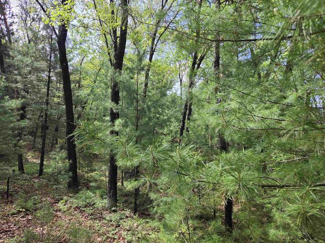 N5488 Black Road, Mauston, WI 53948