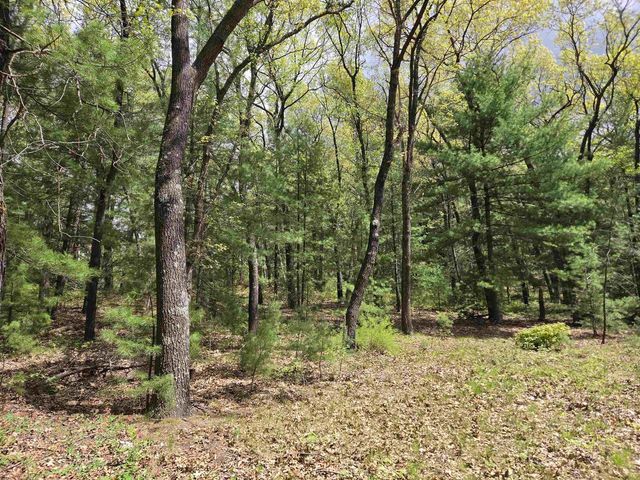 N5488 Black Road, Mauston, WI 53948