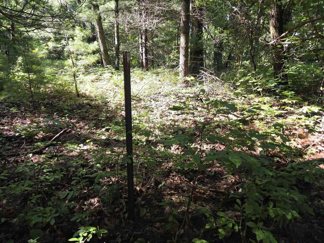 N5488 Black Road, Mauston, WI 53948