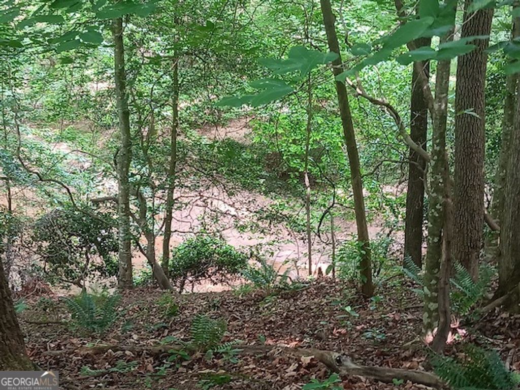 0 Pulliam Mill Road, Dewy Rose, GA 30634 — photo 3
