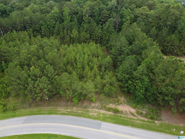 340 APPLEGATE PARKWAY, Pelham, AL 35124