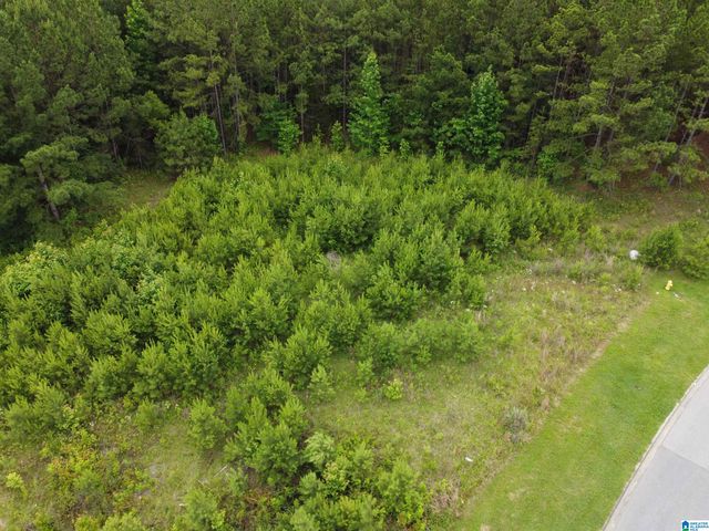 340 APPLEGATE PARKWAY, Pelham, AL 35124