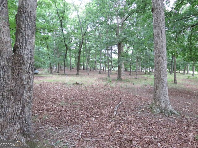 343 Shadow Mtn Lane, Cleveland, GA 30528