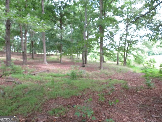 343 Shadow Mtn Lane, Cleveland, GA 30528