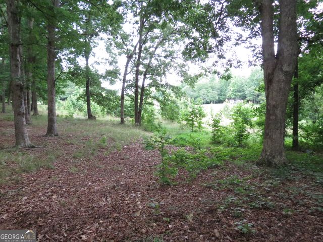 343 Shadow Mtn Lane, Cleveland, GA 30528