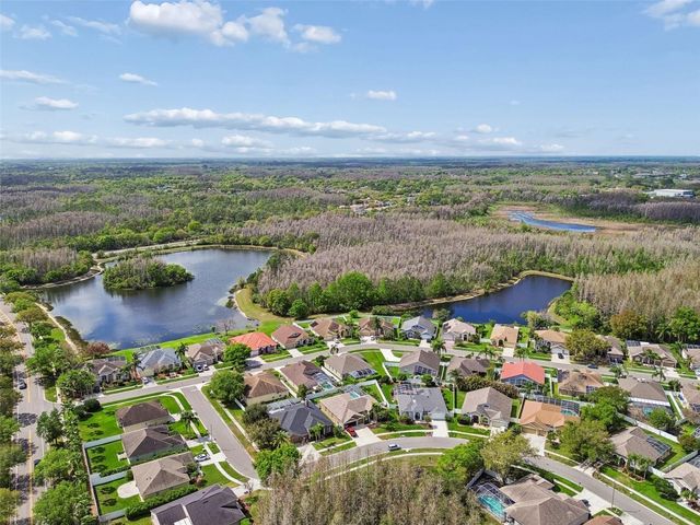 17906 SPARROWS NEST DRIVE, Lutz, FL 33558