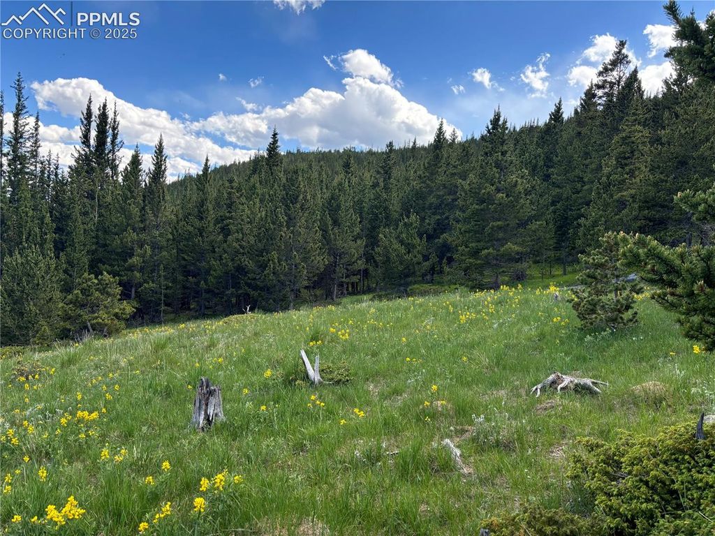 Hilltop Road, Idaho Springs, CO 80452 — exterior