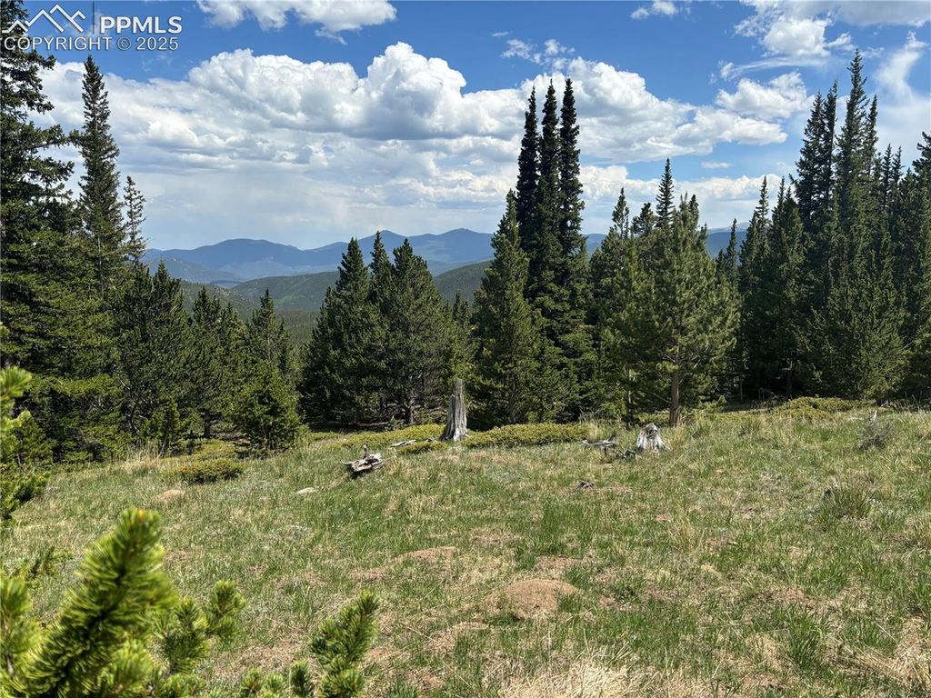Hilltop Road, Idaho Springs, CO 80452 — photo 4