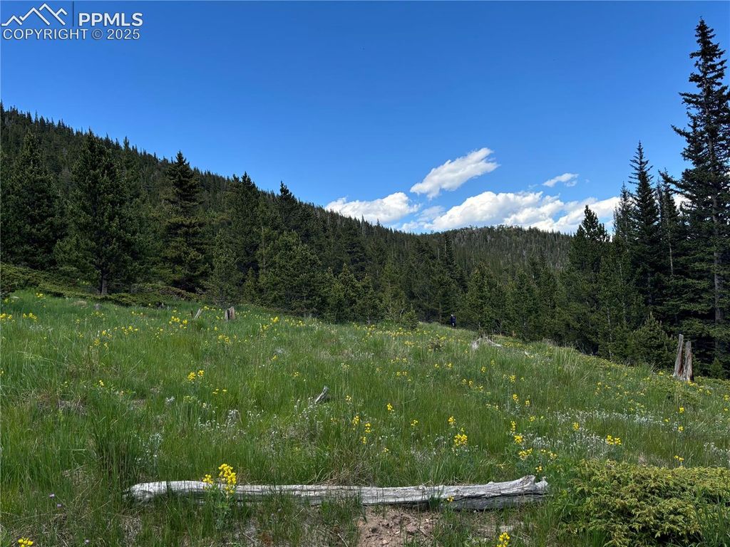 Hilltop Road, Idaho Springs, CO 80452 — photo 5