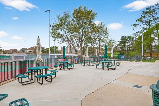 618 Santa Elena Canyon, Spring, TX 77388