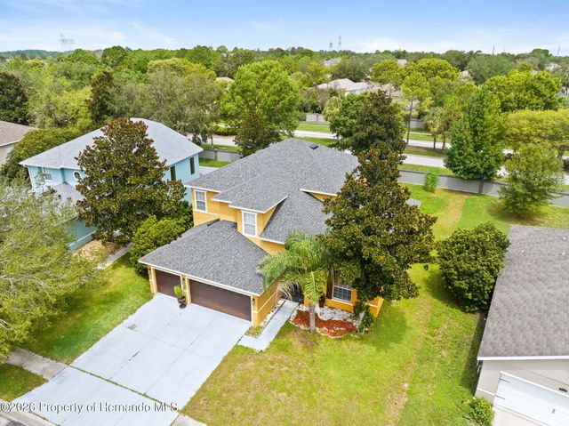 4501 Birchfield Loop, Spring Hill, FL 34609