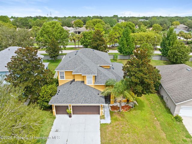 4501 Birchfield Loop, Spring Hill, FL 34609