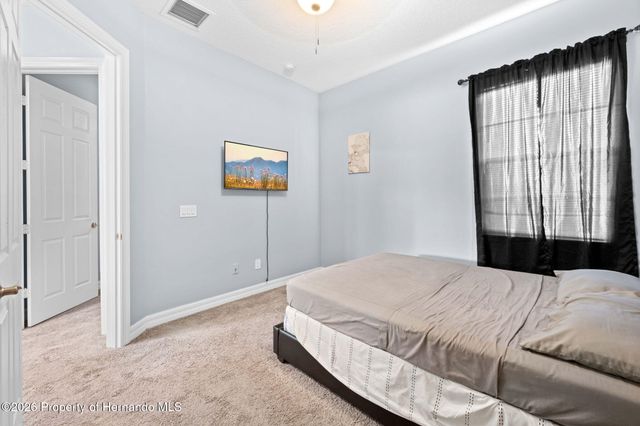 4501 Birchfield Loop, Spring Hill, FL 34609