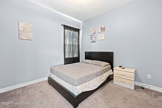 4501 Birchfield Loop, Spring Hill, FL 34609