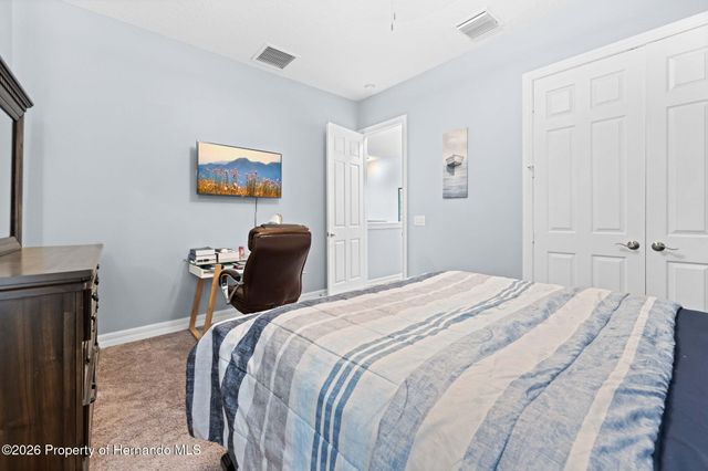 4501 Birchfield Loop, Spring Hill, FL 34609