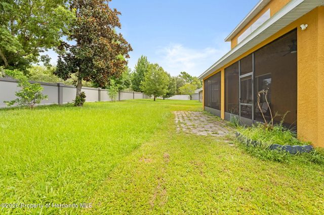 4501 Birchfield Loop, Spring Hill, FL 34609