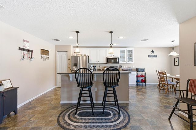 11022 RUNNING PINE DRIVE, Riverview, FL 33569