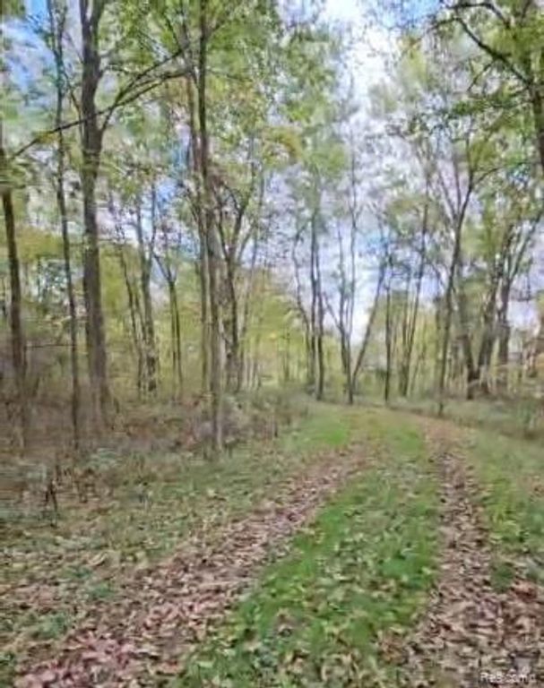 37 Risch Road, Webberville, MI 48892