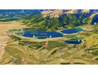 57 Lodgepole Dr, Twin Lakes, CO 80461