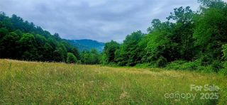 5595 Meadow Fork Road, Hot Springs, NC 28743
