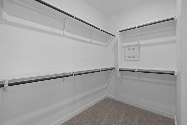 429 Brandywine RD, Hutto, TX 78634