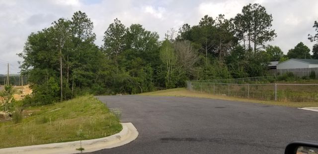 4.19 acres PJ Adams Pkwy, Crestview, FL 32536