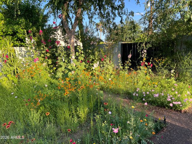 6511 E MONTEROSA Street, Scottsdale, AZ 85251