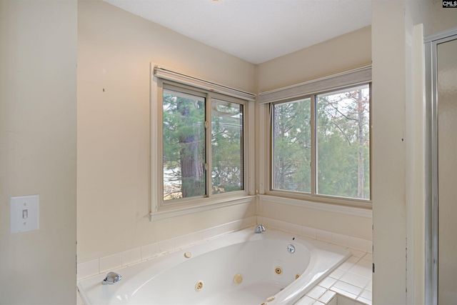 269 Mary Drive, Chapin, SC 29036