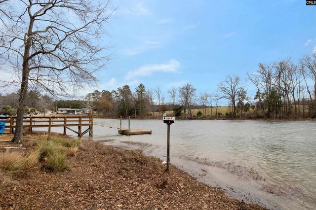 269 Mary Drive, Chapin, SC 29036