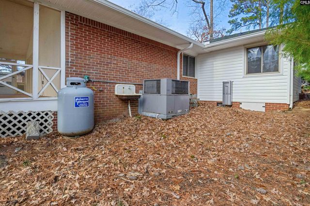 269 Mary Drive, Chapin, SC 29036