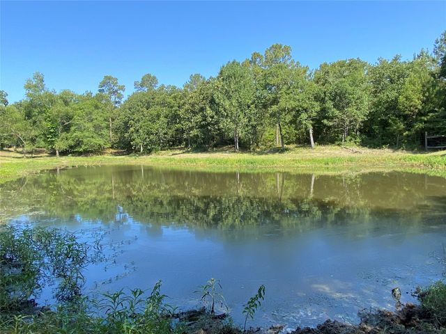 10642 County Road 446, Navasota, TX 77868