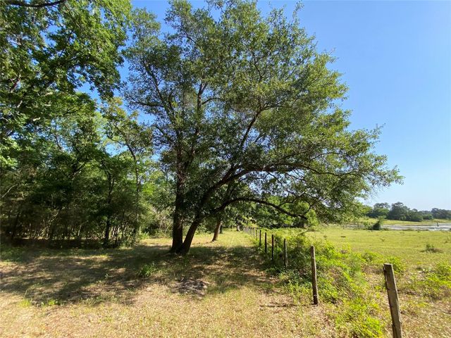 10642 County Road 446, Navasota, TX 77868