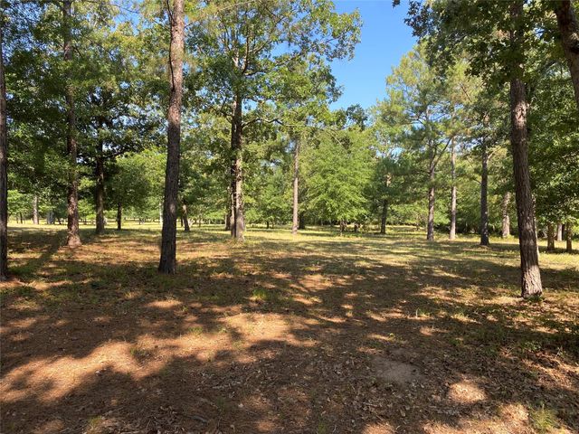 10642 County Road 446, Navasota, TX 77868