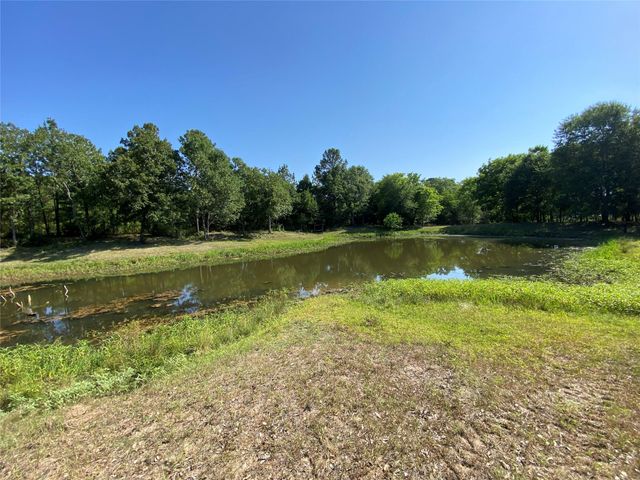 10642 County Road 446, Navasota, TX 77868